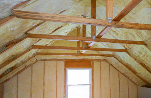 Best Spray Foam Insulation  in Neuse Forest, NC