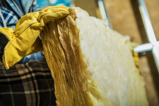 Best Local Insulation Services  in Neuse Forest, NC