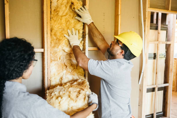 Best Energy-efficient Insulation  in Neuse Forest, NC