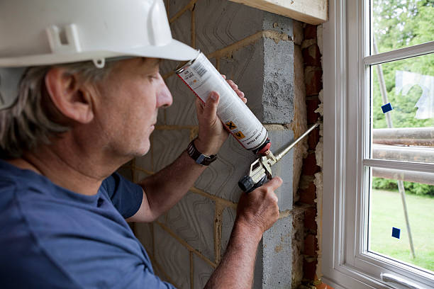 Best Wall Insulation Contractor  in Neuse Forest, NC