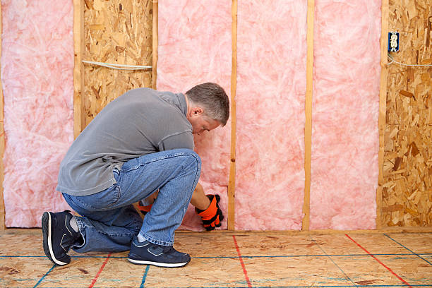 Best Spray Foam Insulation  in Neuse Forest, NC