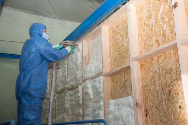Best Crawl Space Insulation  in Neuse Forest, NC