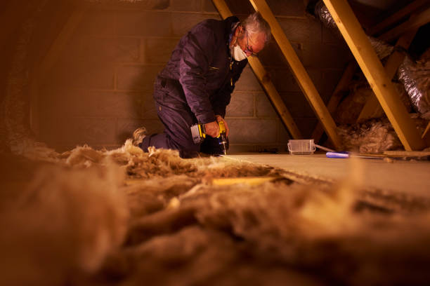 Best Insulation Contractors for Homes  in Neuse Forest, NC
