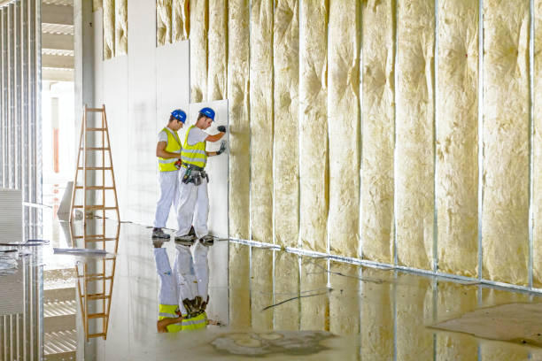 Best Cellulose Insulation  in Neuse Forest, NC
